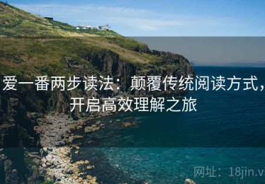 爱一番两步读法：颠覆传统阅读方式，开启高效理解之旅