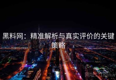 黑料网：精准解析与真实评价的关键策略