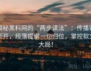 揭秘黑料网的“两步读法”：传播链断开，段落提纲一句归位，掌控软文大局！