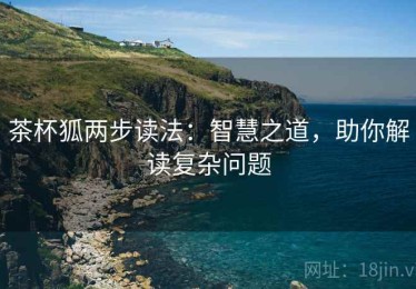 茶杯狐两步读法：智慧之道，助你解读复杂问题